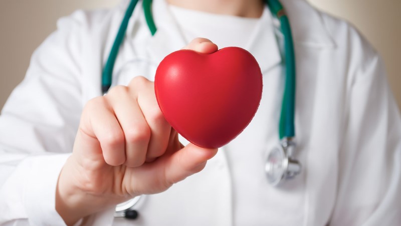 kardiológus szívvel Kardiologia - egy kardiológus egy szív alakú stresszlabát mutat